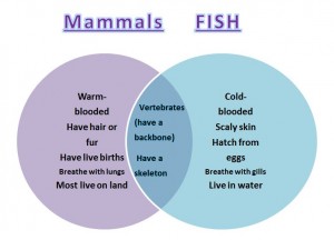 Mammals and Fish Venn Diagram