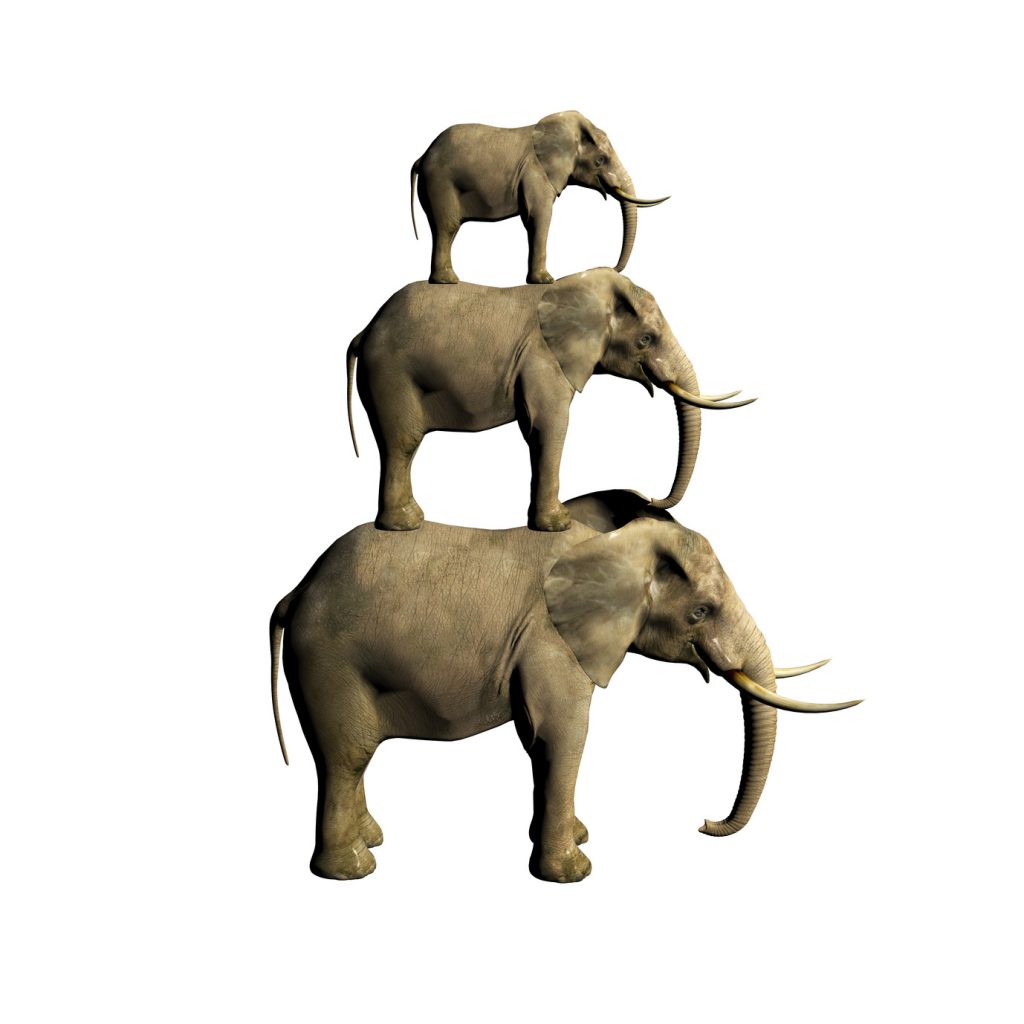 3d elephant isolated on white
