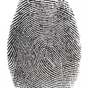 Fingerprint photo