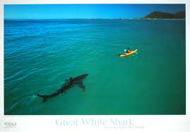 images-158